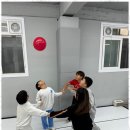 용인대 화랑 합기도 이미지