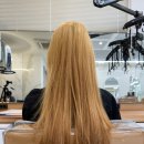 살롱(salon), 248