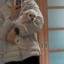 멍그라미 이발소 | 하말참않 (25.11)