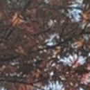 와인치과의원 이미지