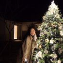 화담별서 이미지