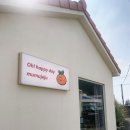 무무헤어 - 영광군 | 제주 여행 가볼만한 곳 애월 소품샵 무무제주 추천후기