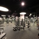 자마이카 짐 이미지