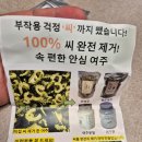 문헌농장 | 혈당관리 때문에 찾은 여주환, 직접 먹어본 후기｜여주환효능·여주차·여주즙 비교