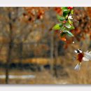 숲속의하루 이미지