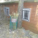 지팡이공원 이미지