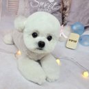 릴리줄리살롱 이미지