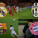 보니또그 이미지