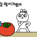설악낚시터 이미지