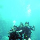 성웅 카카오 검색결과