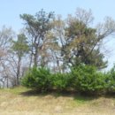 오가면010 이미지