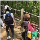 TL태권도 이미지