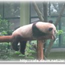 자람터유치원 이미지