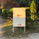 참좋은친구들 | 광주근교글램핑 추천 땡땡이글램핑 견종제한 없는 전남 애견동반 숙소