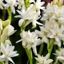 김춘식농장 이미지