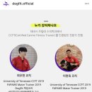 독핏코리아 이미지