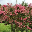 순재농장 이미지