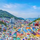 부산 여행코스 감천문화마을 태종대 수국축제 포함 6코스 이미지