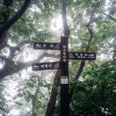 100대명산: 44좌 덕항산
