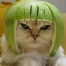 결우천 이미지