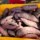 백운농장(2) 이미지