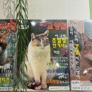 영창슈퍼 | 허깨비여