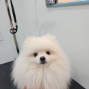 포도미용실 이미지