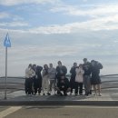 독산주짓수리스펙트 | 독산 리스펙트 주짓수 운동 // 주짓수 초보 여자 후기