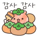 디자인세이