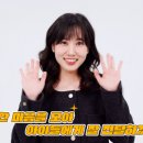 꿍따리 이미지