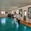 태권도 이규현사범 아카데미 이미지