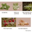 씨앤앤코스메틱 탈모고민 예방샴푸 추천 듀발샴푸(DEWVAL SHAMPOO)