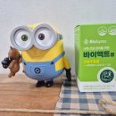 정바이오 | 강황추출물 들어간 바이오바이츠 바이액트정 섭취후기
