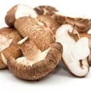 ◑ 항암효과 뛰어나고 콜레스테롤 낮춰주는 표고버섯 성분 및 효능​ ◑ ​ 이미지