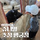 새충북어린이집 | 청주실내동물원 쥬니멀 초정행궁점 먹이체험으로 좋은 아이랑 갈만한곳