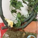 금당로 | 자연을 그대로 옮겨놓은 공간, 비오토프 갤러리 방문 후기