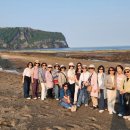 (주)제주파랑새관광여행사 | 🌿 여름의 정원에서, 우리는 다시 친구가 되었습니다 – 프랜드 여행사 제주 버스투어 후기 🌿