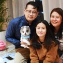 케이독 ST 이미지