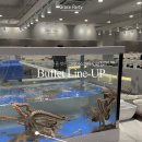 엘지전자(주) 남인천지점 | 부평 웨딩홀 그레이스파티 인천 계약 후기 (견적 공유 X)