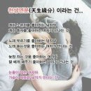 천생연분 이미지