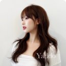 트렌디헤어 이미지