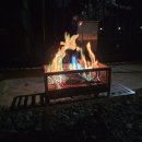 그린하우스펜션 | 캠린이 가족 캠핑일지 :: 완벽한 벚꽃 캠핑 가능한 경주 그린하우스펜션 캠핑장 (B11 사이트 후기)