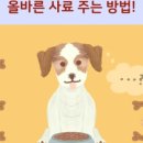 안양비산동물병원 이미지