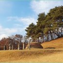 경림군(慶林君) 이정(李淀) 묘지명(墓誌銘) 병서( 幷序) 이미지