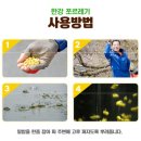 체리피시
