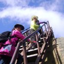 정관장홍삼창포점 이미지