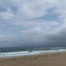 오토오아시스파주월롱점 | 강원도 동해카페 오아시스in망상 솔직후기