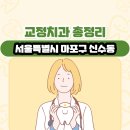 신수치과의원 | 서울특별시 마포구 신수동 교정치과 총정리