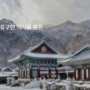 단월천 네이버블로그