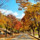 청풍힐링스테이 이미지